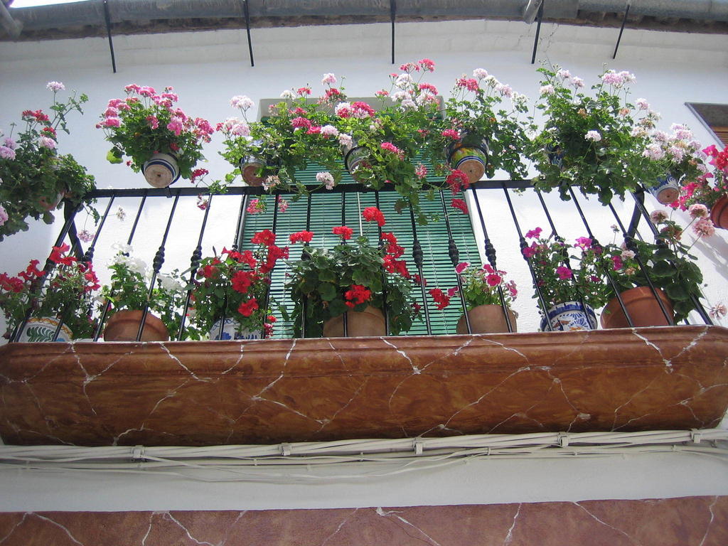 Casa Rural La Villa Castro del Río Szoba fotó